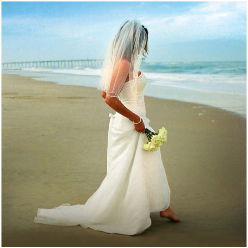 beach wedding dress. Beach Wedding Gowns Picture