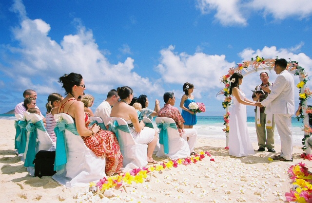 Beach Wedding Gowns Beach Wedding Dresses Wedding Party Gowns and 